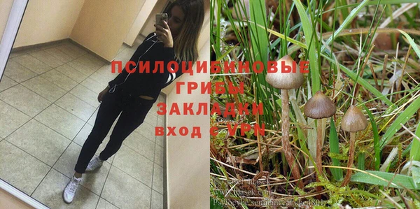 каннабис Аркадак